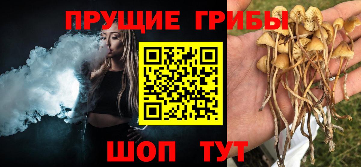 Псилоцибиновые грибы ЛСД  Вход с VPN  Арсеньев 